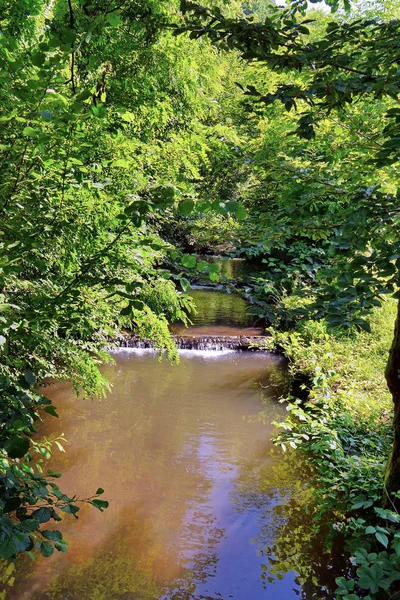 Ein schneller Flusskanal mit Stromschnellen vor dem Hintergrund grüner Bäume und kleiner Büsche — Stockfoto