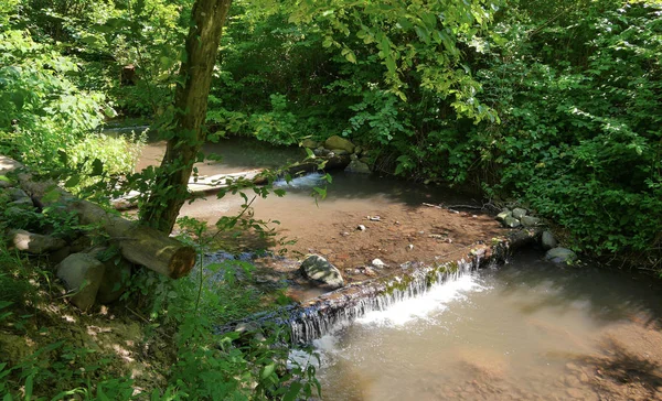 Transparentes Wasser eines flachen Flusses, das durch einen Baumstamm fließt, der anstelle einer Brücke liegt — Stockfoto