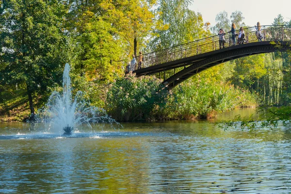 Τουρίστες σε μια γέφυρα πεζών που ρίχνεται πέρα από μια μεγάλη λίμνη τραβάτε φωτογραφίες από την τοπική ομορφιά και ένα δροσιστικό σιντριβάνι ξυλοδαρμό στο ισόγειο. — Φωτογραφία Αρχείου