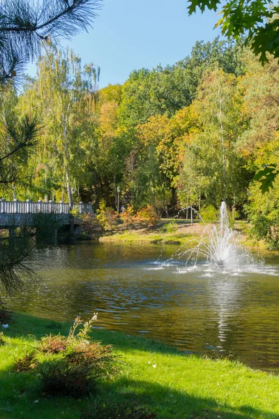 A clareira verde na margem da lagoa é um ótimo lugar para relaxar com uma bela vista da fonte no meio da lagoa e árvores com folhagem amarelada na costa oposta . — Fotografia de Stock