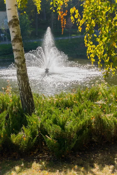 Spray fonteinen schitteren in de zon vallen in een meer in de buurt van de groene oevers. Novi Petrivtsi, Oekraïne — Stockfoto