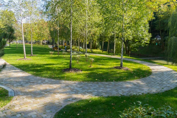 Rest in a park on a bench in the shadow of low young birches growing on a green lawn — Stock Photo, Image