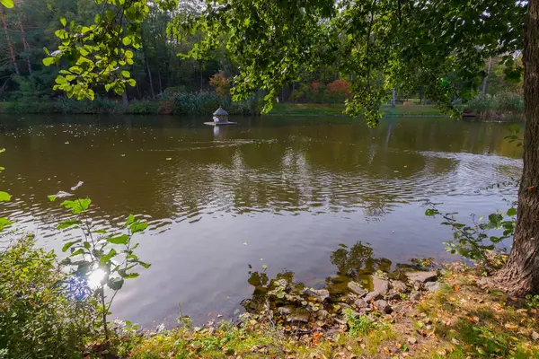 Podzimní rybník na berg, který plovoucí pestrobarevným spadané listí. Voda je stále teplá, ale jeho už začíná být zima — Stock fotografie