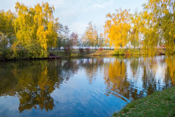 Відображення золотистого березового листя у воді озера в парку під блакитним небом — стокове фото