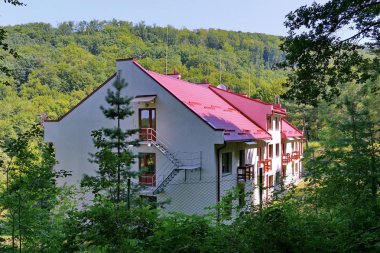 Yalnız büyük bir ev kalın yeşil ormanın içinde kırmızı çatılı