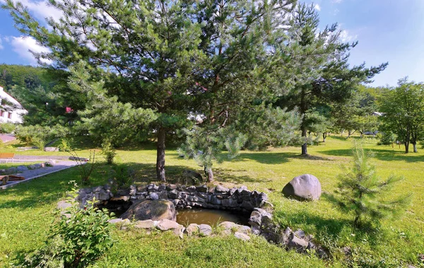 Un pequeño lago decorativo, rodeado de piedras junto a grandes y exuberantes abetos — Foto de Stock