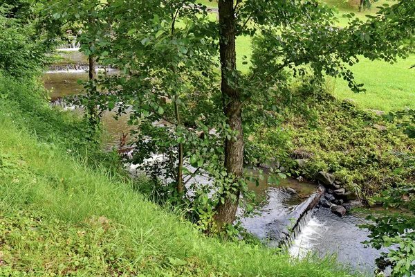 Антропогенные маленькие плотины в ручье, бегущие вдоль зеленого холма — стоковое фото