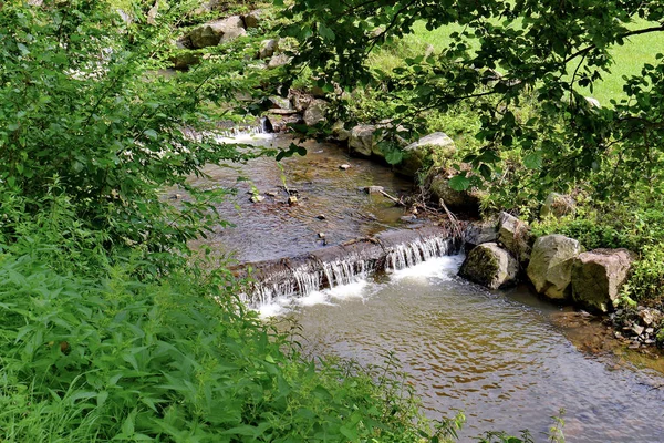 Małe katarakty z belki na rzece pokryte kamień pod drzewami — Zdjęcie stockowe
