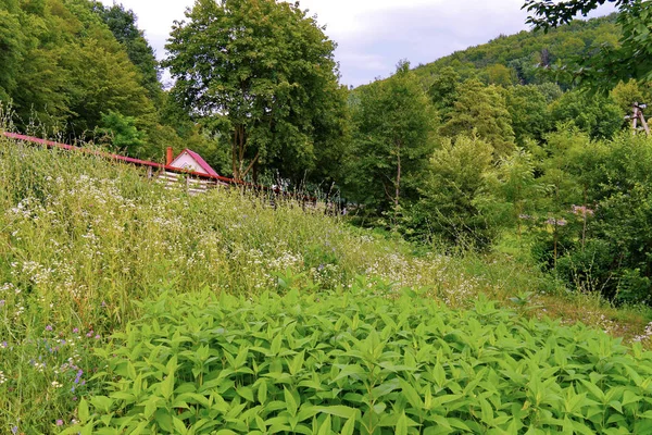 Мальовнича зелена природа в сільській місцевості. З підглянутим дахом над будинком з трубою . — стокове фото