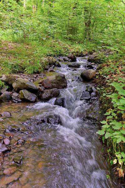 Der Gebirgsbach trägt das Wasser durch den steinernen Boden durch den Wald schnell ins Tal — Stockfoto