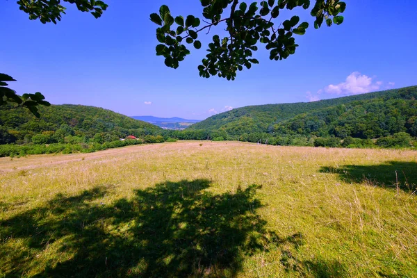 山の麓の村の近くの開いた芝生の緑の牧草地 — ストック写真