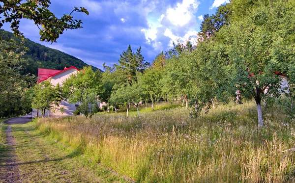 Ein Feldweg im Gras, der entlang des Gartens mit Bäumen zum Haus mit rotem Ziegeldach führt — Stockfoto