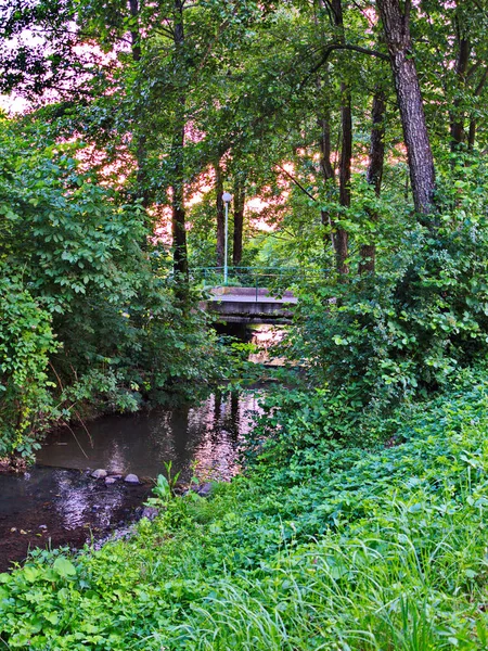 Een voetgangersbrug in groene kreupelhout van struiken liggen in een kleine rivier die stroomt in een schilderachtige omgeving met bomen groeien op de banken. — Stockfoto