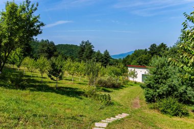 Yolun yanındaki mavi gökyüzüne karşı mesafe görünür dağın tepesinde ile genç meyve ağaçları ile güzel bir bahçe yarar oda önde gelen.