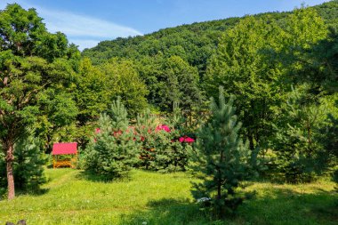 Arbors ve evlerin çatıları yeşil glade ile aralarında gizleme üzerinde güzel genç çam ağaçları dikildi.