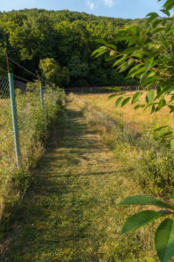 Üstte dikenli tel ile bir kılavuzundan bir çit tarafından çitlerle çevrili alan çim şerit bağcıklı