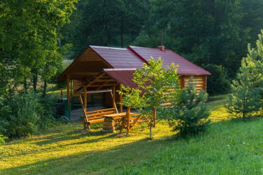 çardak bir tezgah ve bir ahşap evin arka plan üzerinde bir Ladin ile