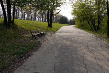 Çatlak asfalt ile bir yol yakınında duran ağaçların gölgesinde Çöl bankları