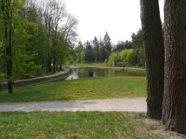 Küçük bir gölün kıyısında papatyalar ile yeşil bir çim etrafında büyüyen ağaçlar ile etrafında yürüyüş yolları ile.