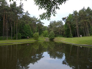 Park sokakları ve uzun iğne yapraklı ağaçlar arka planda büyük bir dekoratif şeffaf göl