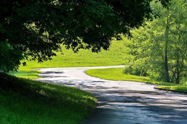 Bahçenin yakınındaki ağaçların sarkık dallarının altında dolambaçlı bir yol.