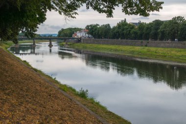 sığ bir Nehri eteklerinde çökmekte yeşillik