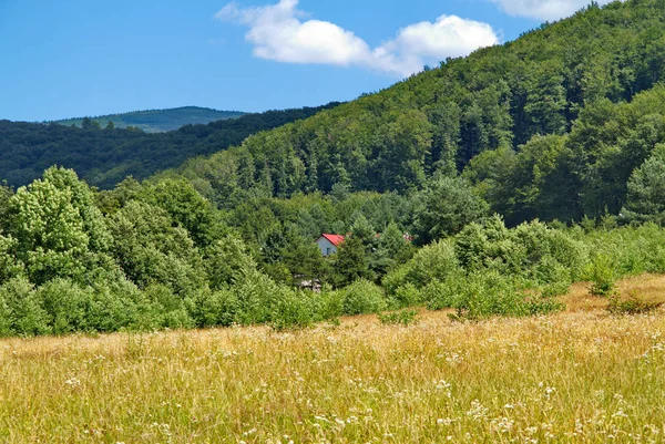 Wygląda czerwony dach domku z lasu u podnóża góry — Zdjęcie stockowe