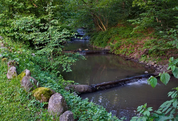 Небольшой речной канал на фоне склона с зелеными лиственными деревьями и маленькими кустами — стоковое фото