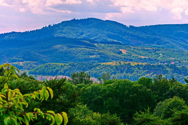 Widok piękny niebieski góry z lasem na pierwszym planie — Zdjęcie stockowe