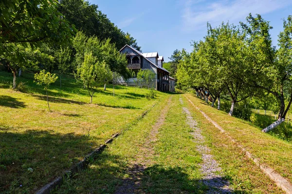 Overgrown with grass the path to the thrown wooden houses in the park — Stock Photo, Image