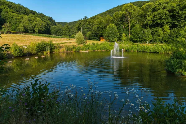 A beautiful green corner of nature surrounded by dense forests with a small pond with a fountain. Quiet and beautiful place to relax.