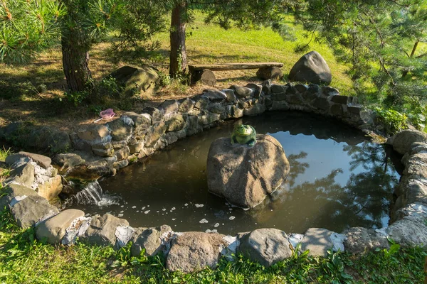 Memorable sapo verde alegre en una roca en un lago artificial frente a una piedra bajo un árbol —  Fotos de Stock