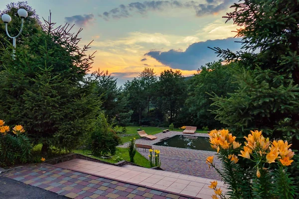 Ένα όμορφο τοπίο από έλατα και λουλούδια από την πισίνα φόντο το ηλιοβασίλεμα — Φωτογραφία Αρχείου