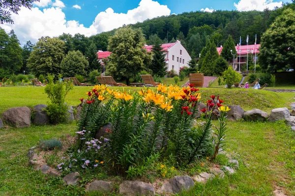 Flowerbed with red and orange lilies on a high green leg against the backdrop of the buildings of the hotel complex — Stock Photo, Image