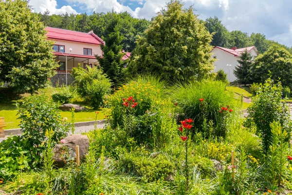 Hermoso parterre verde con flores de colores en el fondo de la zona del parque — Foto de Stock