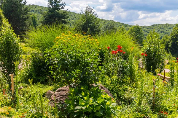 Endless sky majestic mountains and a modest flower bed with flowers — Stock Photo, Image