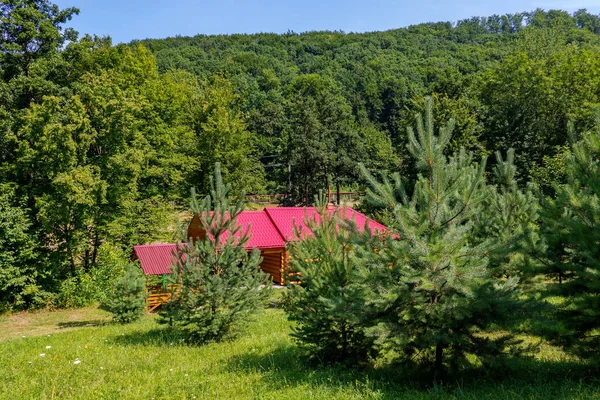 Una casa de madera está iluminada por el sol brillante en el bosque verde — Foto de Stock