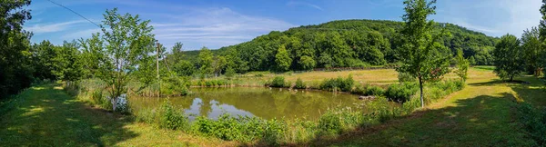 Панорама природы с небольшим прудом и стоящим в нем зеленым островом электрической опоры на фоне высокого леса, растущего на склоне . — стоковое фото