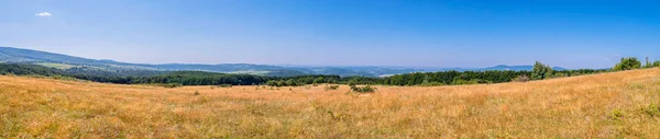 Ein schickes Panorama der Gebirgstäler mit Ebenen mit getrocknetem Gras, grünen Wäldern und in der Ferne am Horizont sichtbaren Gebirgszügen. — Stockfoto