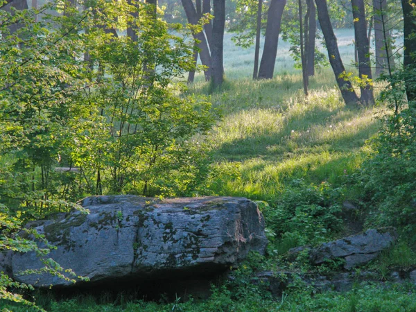 Grandi massi massicci mimetizzati sullo sfondo di cespugli verdi poco profondi e alti alberi decidui — Foto Stock