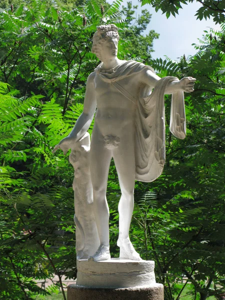 Weiße Statue des Apollo Belvedere im Garten — Stockfoto
