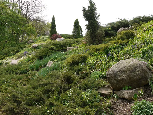 Área verde decorativa con macizos de flores, pequeños arbustos y rocas de piedra sobre el fondo del cielo despejado — Foto de Stock