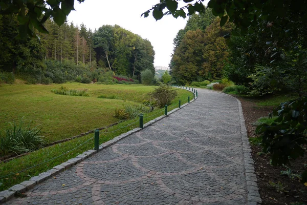 Un paseo por el callejón del parque forrado con azulejos en el fondo de hermosos árboles verdes decorativos —  Fotos de Stock