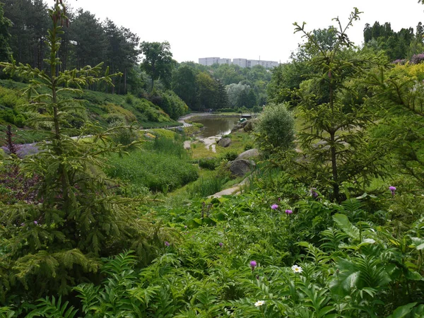 Un río en plantaciones verdes en el fondo de edificios de la ciudad en el parque dendrológico —  Fotos de Stock