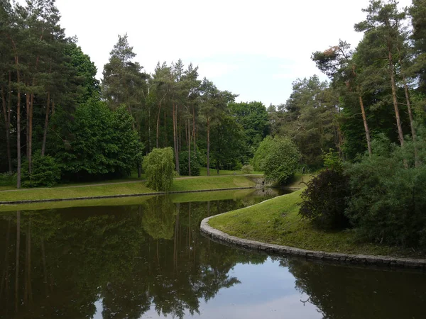 Ruhige ruhige Gewässer eines Sees in einem Kiefernwald ein guter Ort, um eine Pause von der Hektik der Stadt nehmen — Stockfoto