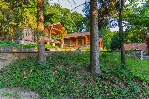 Casas para descansar de troncos de madera con techos de azulejos entre la pintoresca naturaleza verde. Con el camino a lo largo de ellos por el que corren los perros . — Foto de Stock