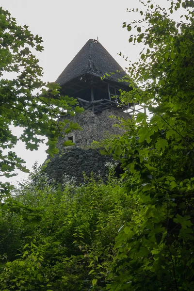 Uitzicht op een oude hoge stenen toren in kreupelhout van loofbomen — Stockfoto