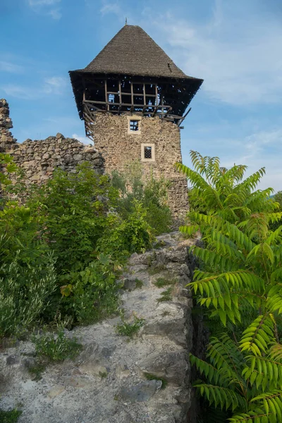 Torre com um telhado arruinado. Parece que vai haver um vigia com uma besta. — Fotografia de Stock