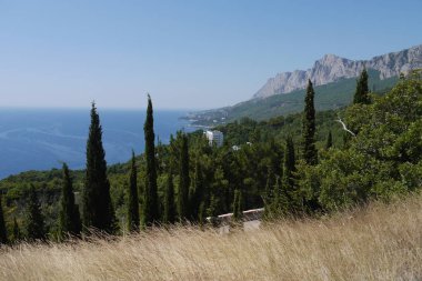 çimenli eğimli deniz ve dağ ridge yeşillik ağaçların altındaki büyüyen ile muhteşem bir manzara
