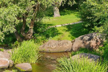 Bir küçük su kaynağı olan büyük kayalar zümrüt yeşil orman içinde. Peri masalı